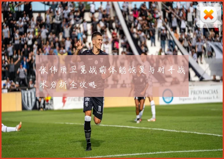 张伟丽卫冕战前体能恢复与对手战术分析全攻略